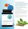 کپسول آشواگاندا Youtheory Ashwagandha 7200 میلی‌گرم، 60 عددی - تصویر 4